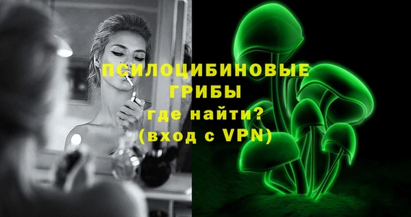 СК Россошь