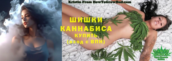 тгк Рославль
