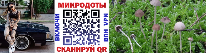 Псилоцибиновые грибы GOLDEN TEACHER  Апрелевка 