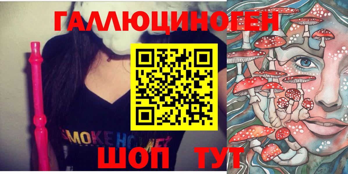 Галлюциногенные грибы Psilocybine cubensis Апрелевка
