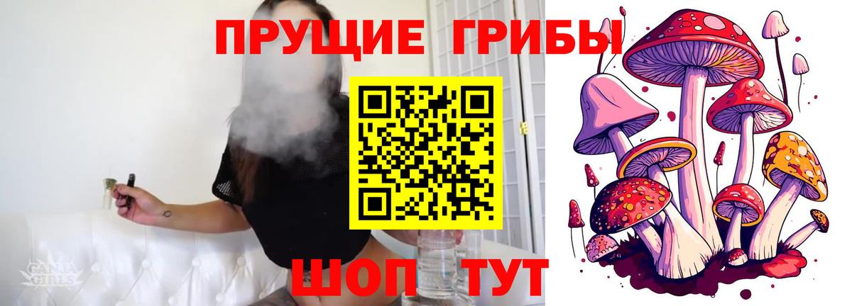 Апрелевка  Псилоцибиновые грибы ЛСД  Вход с VPN  Псилоцибиновые грибы Psilocybe 